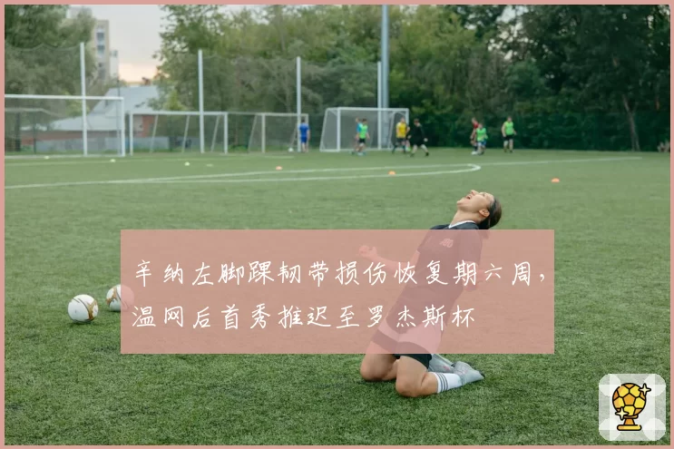 辛纳左脚踝韧带损伤恢复期六周,温网后首秀推迟至罗杰斯杯