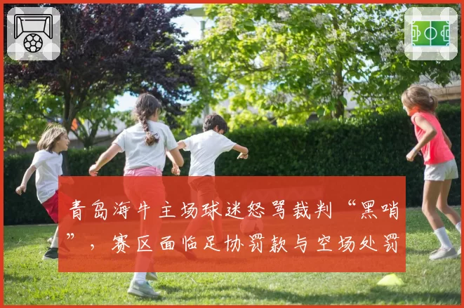 青岛海牛主场球迷怒骂裁判“黑哨”，赛区面临足协罚款与空场处罚威胁